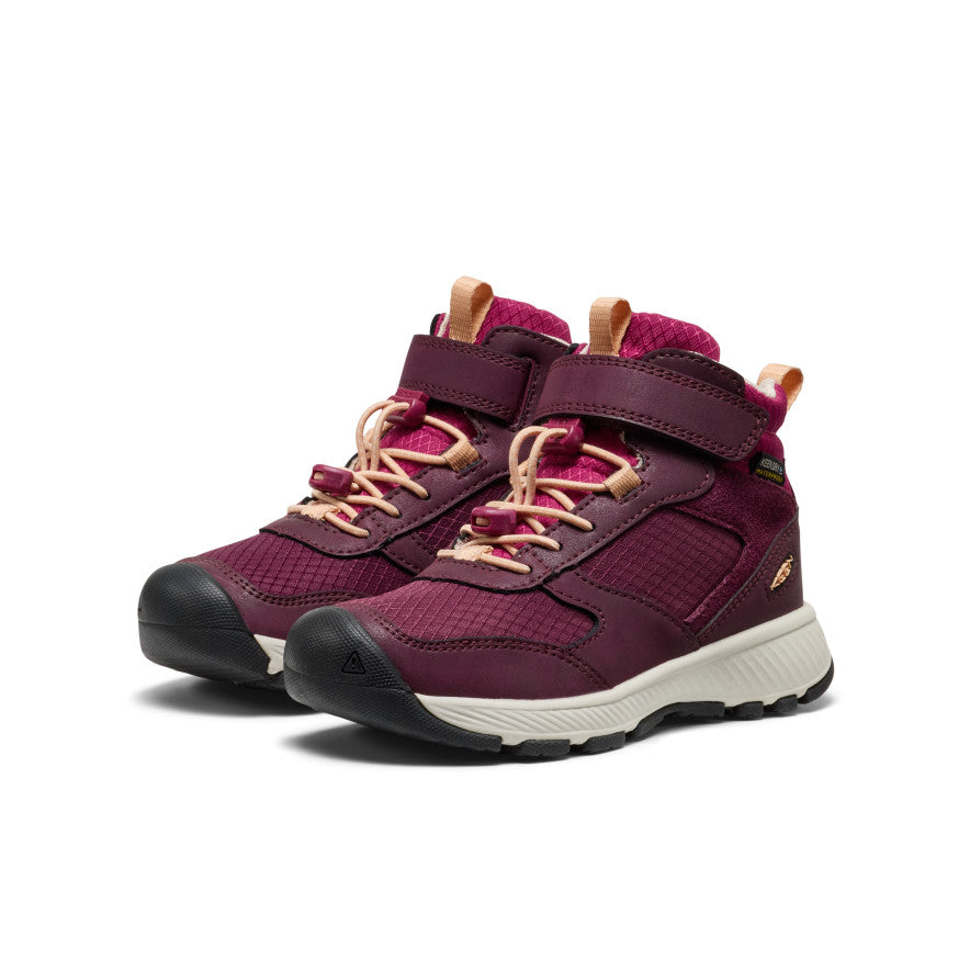 b3223ffa6c4157b28830ef7ae05e3b2f5eb3bb57